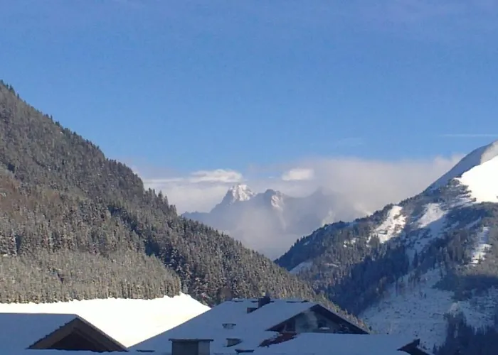 丽塔豪斯酒店 公寓 *